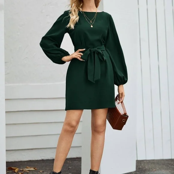 Classic lantern long sleeve belted mini Dress - Picture 12 of 15